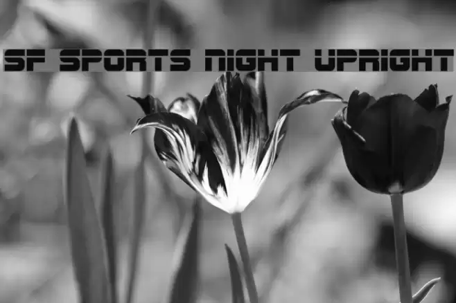 SF Sports Night Upright Font examples