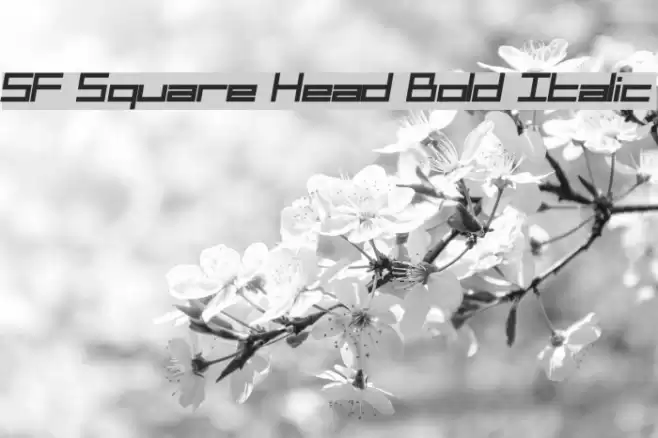 SF Square Head Bold Italic Caratteri examples