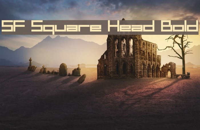 SF Square Head Bold Font examples