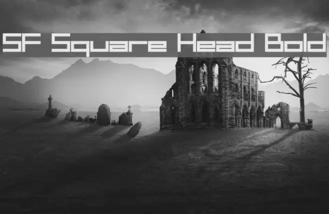 SF Square Head Bold フォント examples