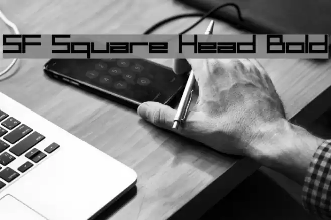 SF Square Head Bold フォント examples