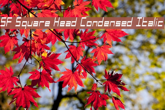 SF Square Head Condensed Italic Font examples