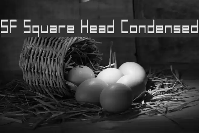 SF Square Head Condensed Font examples