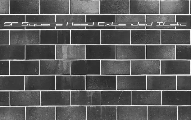 SF Square Head Extended Italic Caratteri examples
