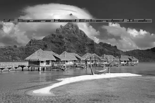 SF Square Head Extended Italic Caratteri examples