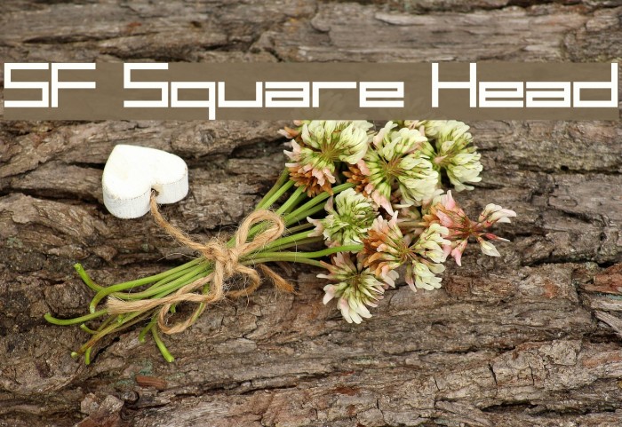 SF Square Head Font examples