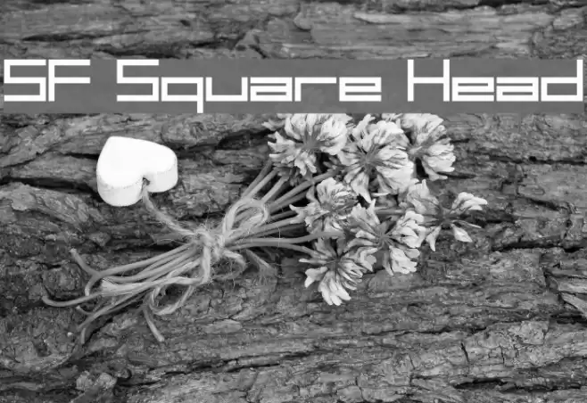 SF Square Head フォント examples