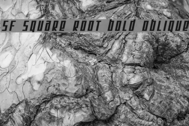 SF Square Root Bold Oblique Font examples