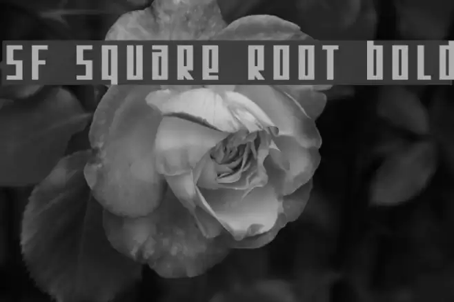 SF Square Root Bold Font examples