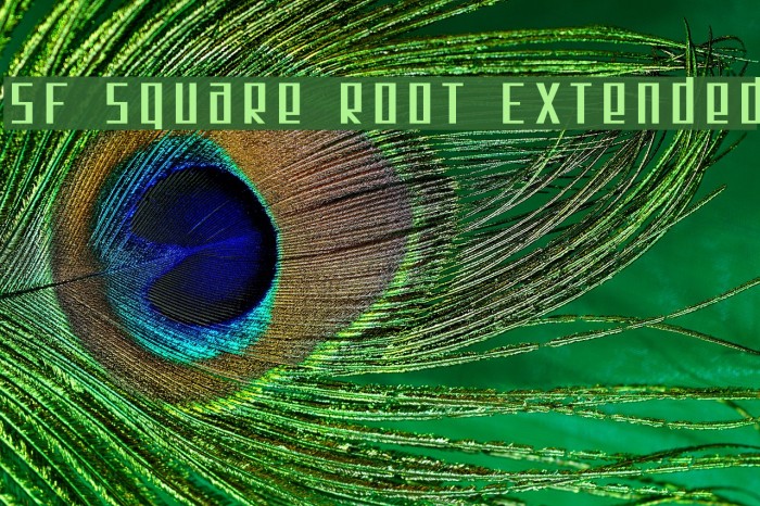 SF Square Root Extended フォント examples