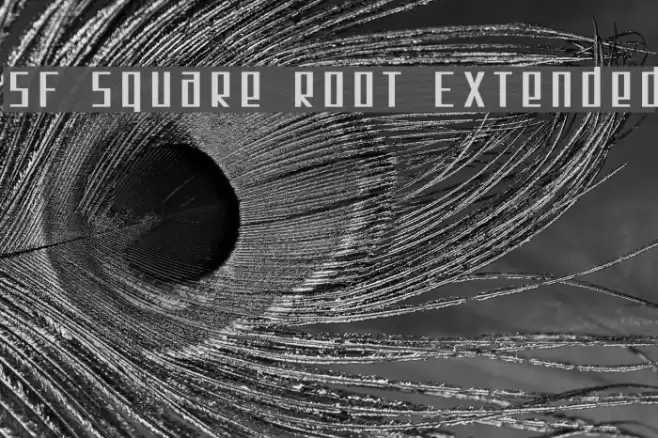 SF Square Root Extended フォント examples