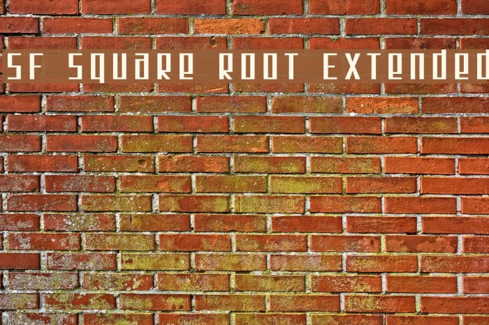 SF Square Root Extended フォント examples