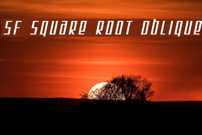SF Square Root Oblique Font examples