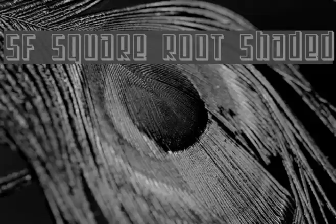 SF Square Root Shaded Font examples