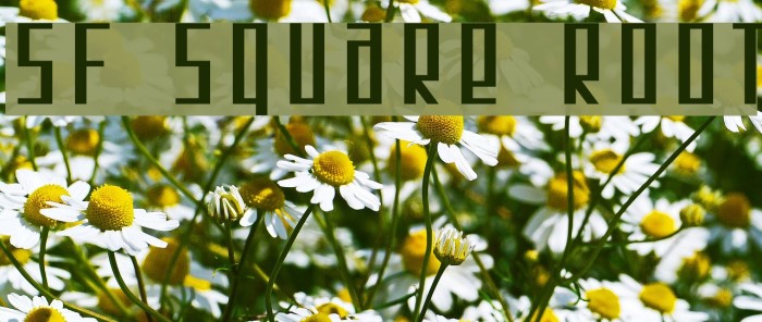SF Square Root Font examples