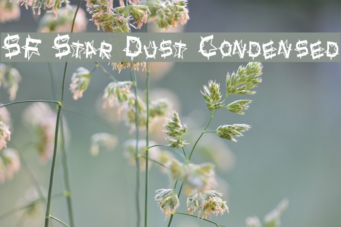 SF Star Dust Condensed Font examples