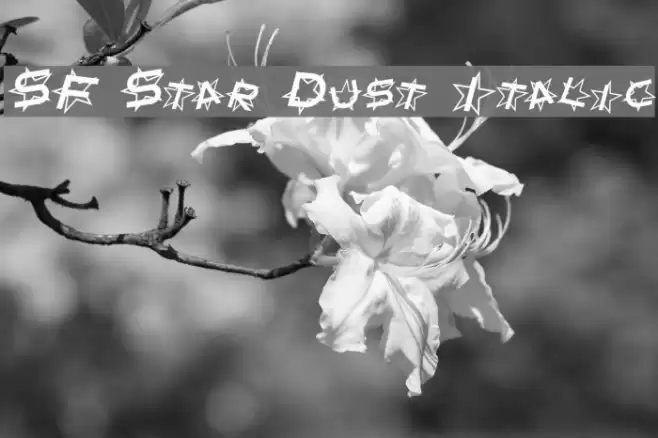 SF Star Dust Italic Font examples