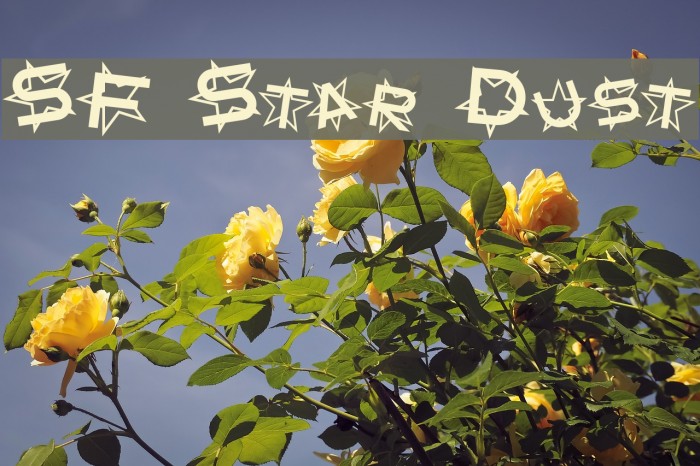 SF Star Dust Font examples