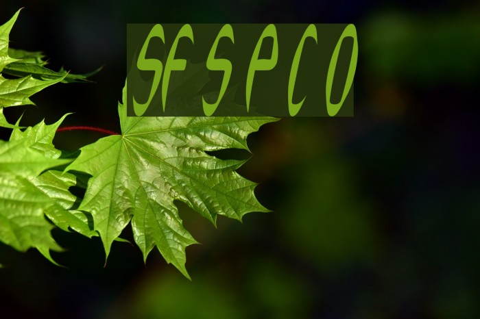 SF Synthonic Pop Condensed Oblique Font examples