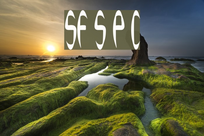 SF Synthonic Pop Condensed Example 1