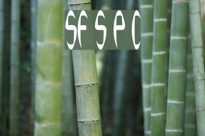 SF Synthonic Pop Condensed Example 2