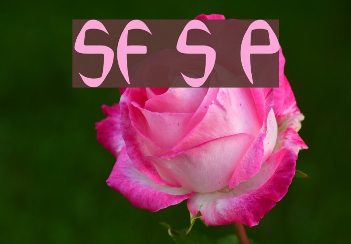 SF Synthonic Pop Font examples
