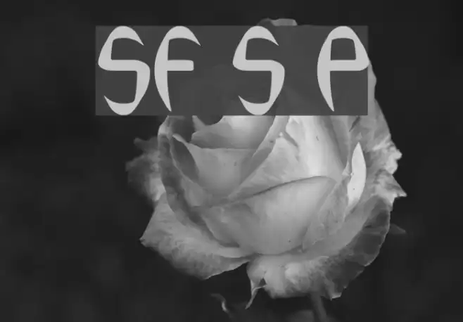 SF Synthonic Pop フォント examples