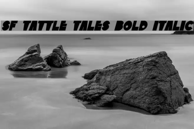 SF Tattle Tales Bold Italic Font examples