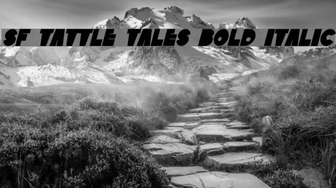 SF Tattle Tales Bold Italic Font examples
