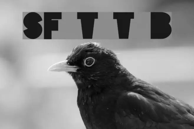 SF Tattle Tales Bold Font examples