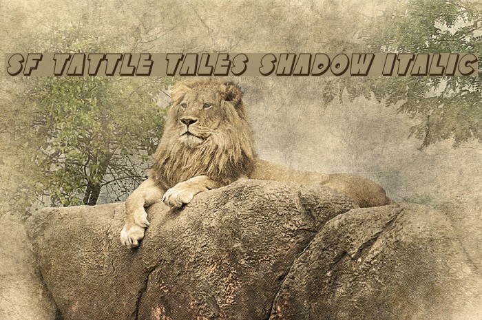SF Tattle Tales Shadow Italic Example 2