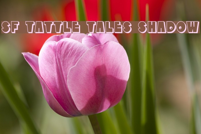 SF Tattle Tales Shadow Example 3