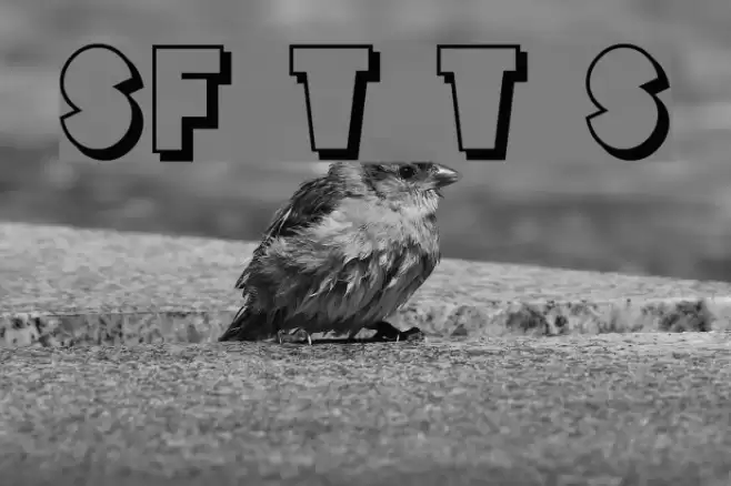 SF Tattle Tales Shadow Fuentes examples