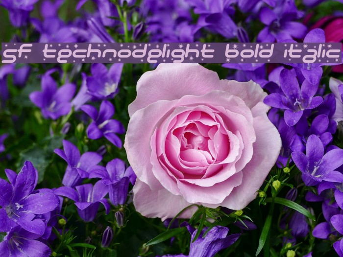 SF Technodelight Bold Italic Font examples