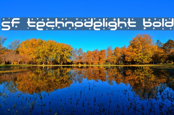 SF Technodelight Bold Font examples