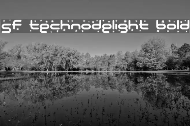 SF Technodelight Bold Fuentes examples
