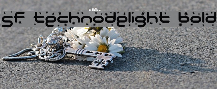 SF Technodelight Bold Font examples