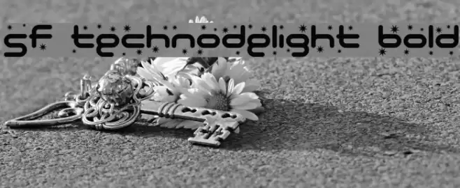 SF Technodelight Bold Fuentes examples
