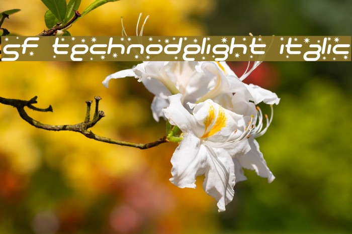 SF Technodelight Italic Schriftart examples