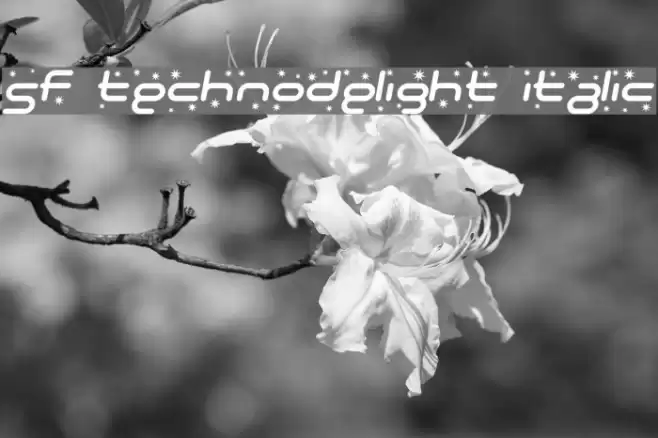 SF Technodelight Italic Font examples