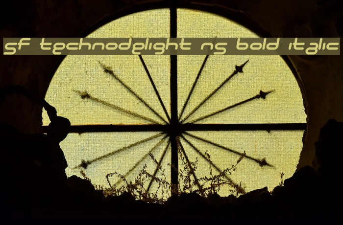 SF Technodelight NS Bold Italic Font examples