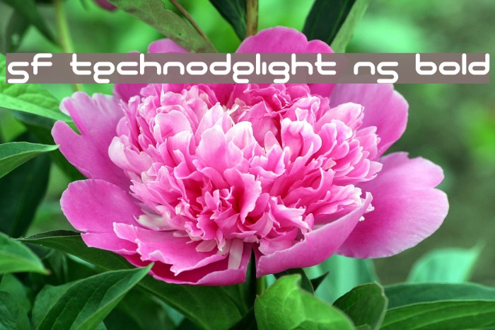 SF Technodelight NS Bold Font examples