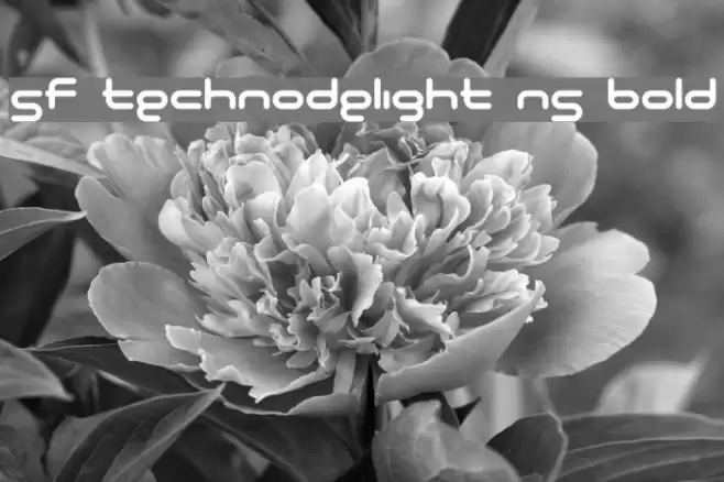 SF Technodelight NS Bold Schriftart examples