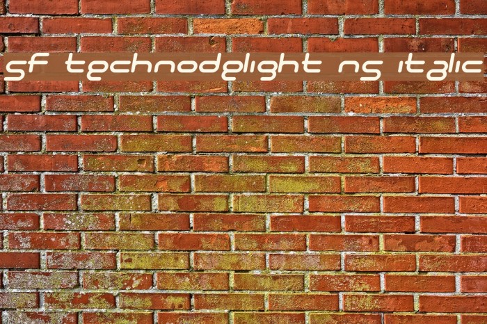 SF Technodelight NS Italic Font examples