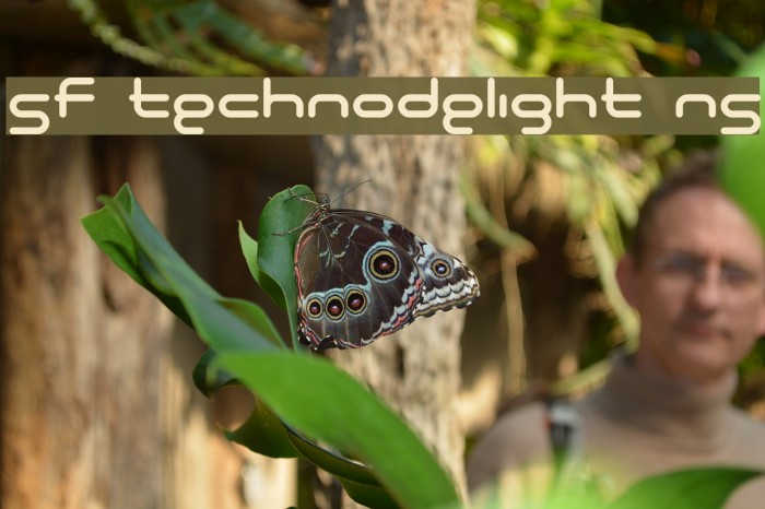 SF Technodelight NS Font examples