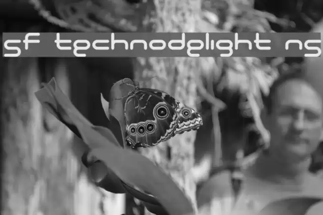 SF Technodelight NS Schriftart examples