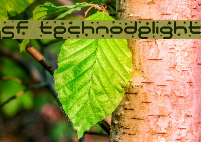 SF Technodelight Font examples