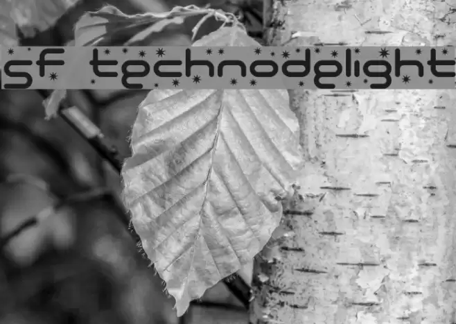 SF Technodelight Schriftart examples