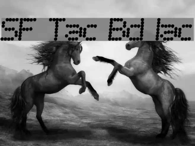 SF Telegraphic Bold Italic Font examples