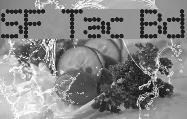 SF Telegraphic Bold Font examples